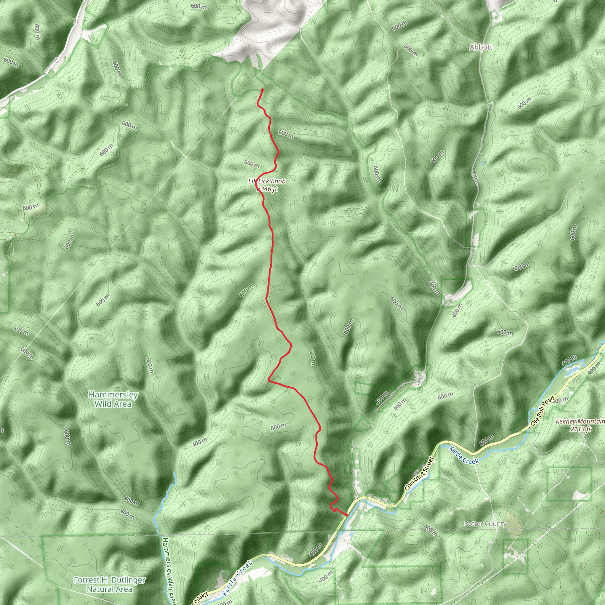 Twin Sisters Trail mobile static map