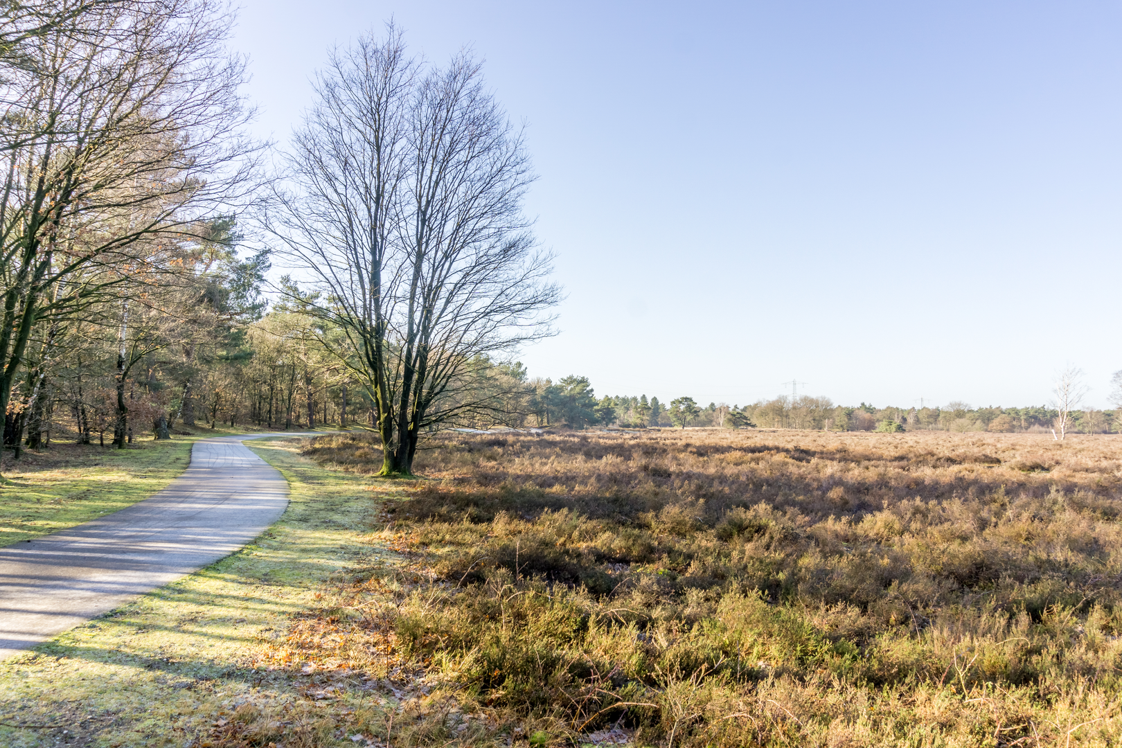 An image depicting the trail De Drie Koningen, Fort Isabella and Brobbelbies Loop and its surrounding area.