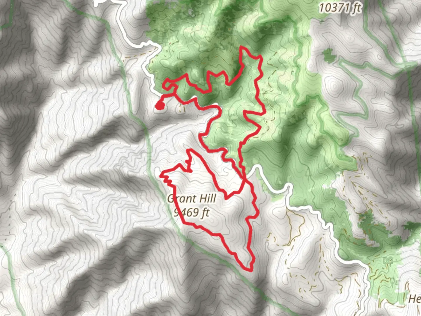 An image depicting the trail Grant Hill Loop and its surrounding area.