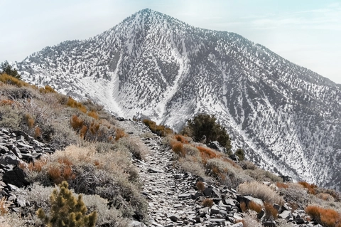 An image depicting the trail Telescope Peak Trail and its surrounding area.