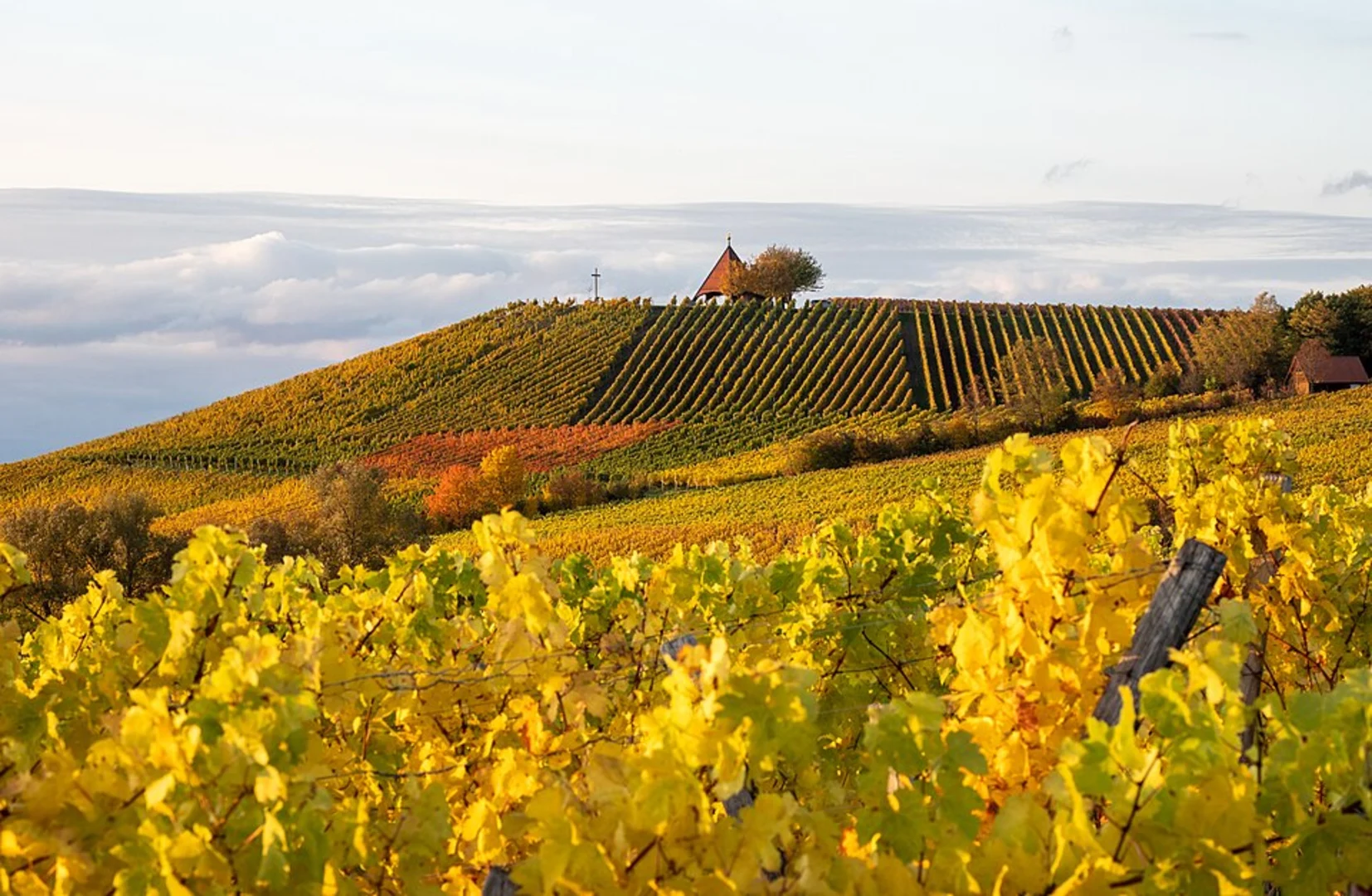 An image depicting the trail Rundweg Michelau and Oberschwarzach and its surrounding area.