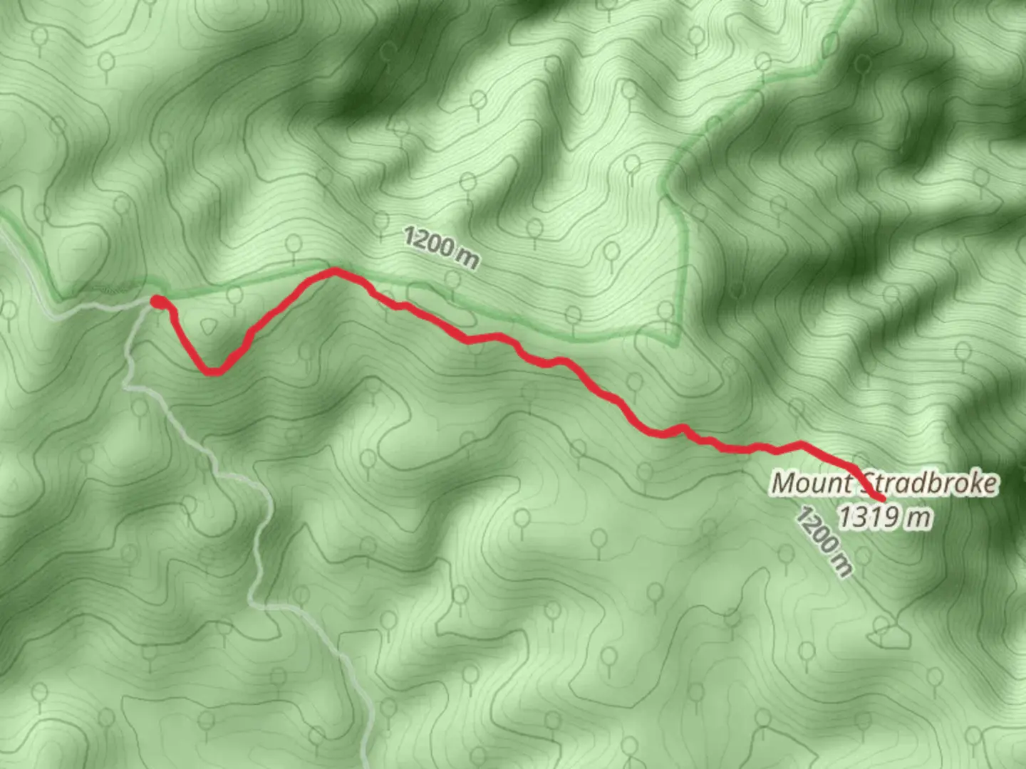 An image depicting the trail Mount Stradbroke Trail and its surrounding area.