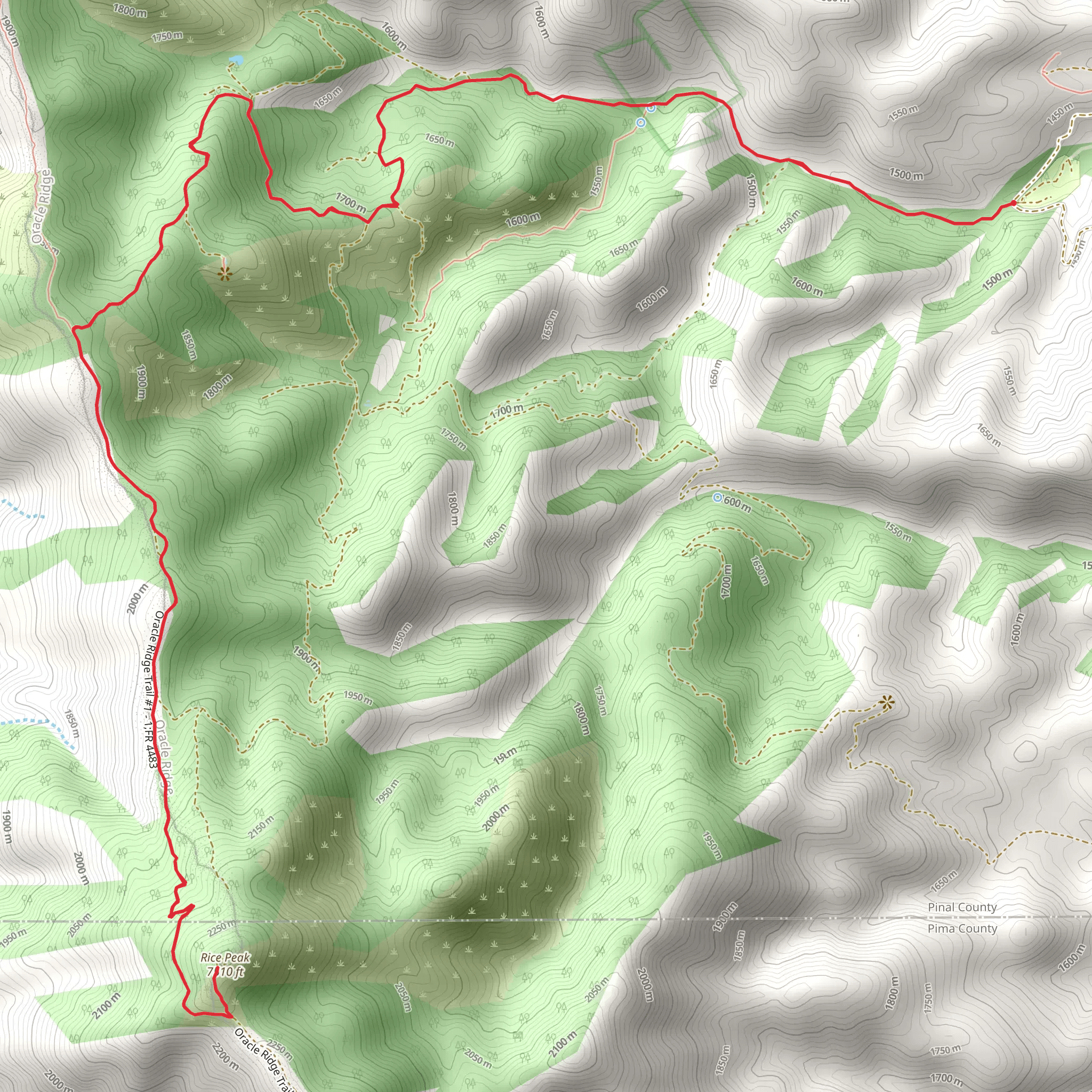 Rice Peak from South Mount Lemmon Road mobile static map