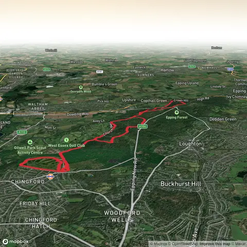 High Beach, Sewardstonebury, Chingford Plain and Hill Wood Loop