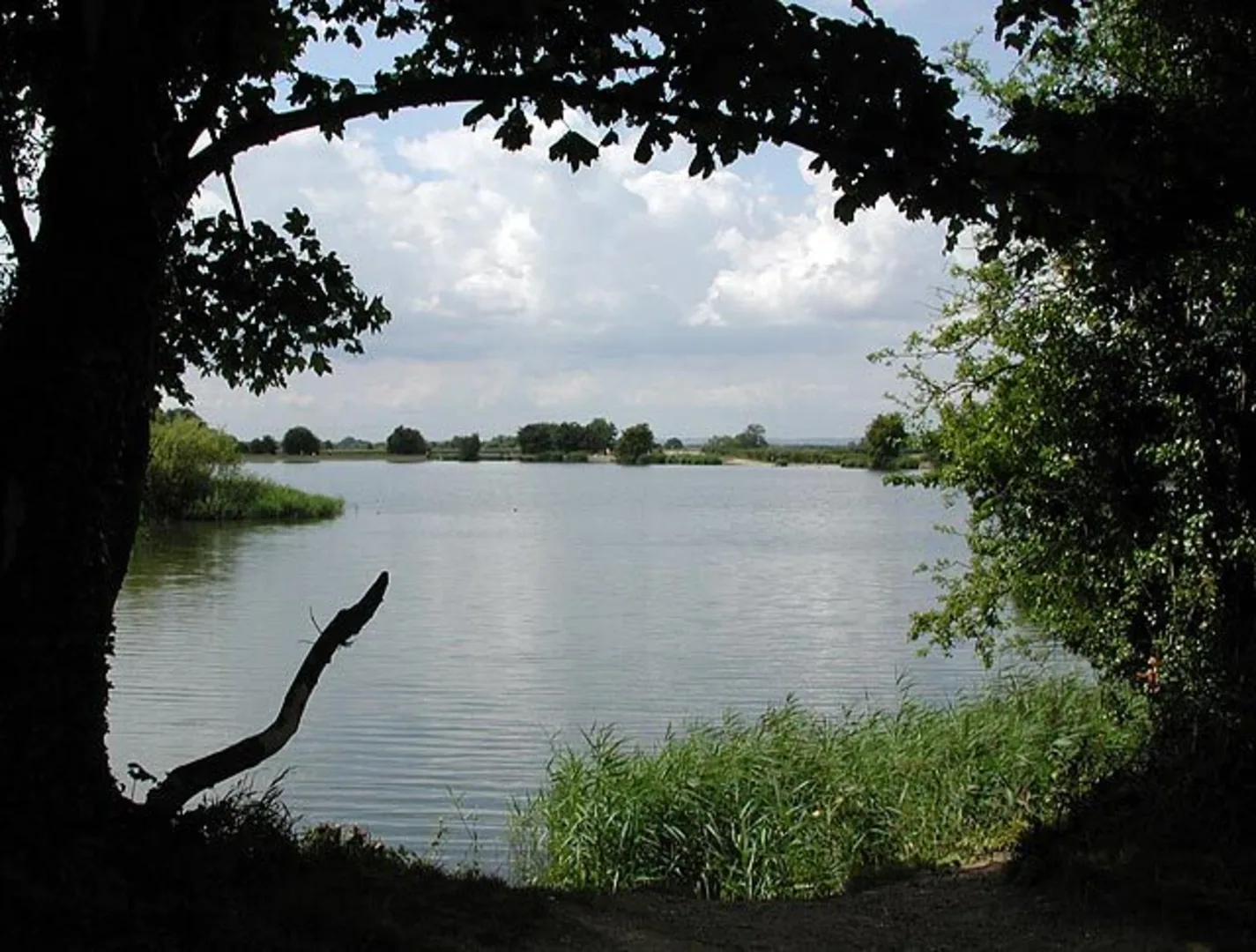 An image depicting the trail Berkhamsted Canal Walk and its surrounding area.