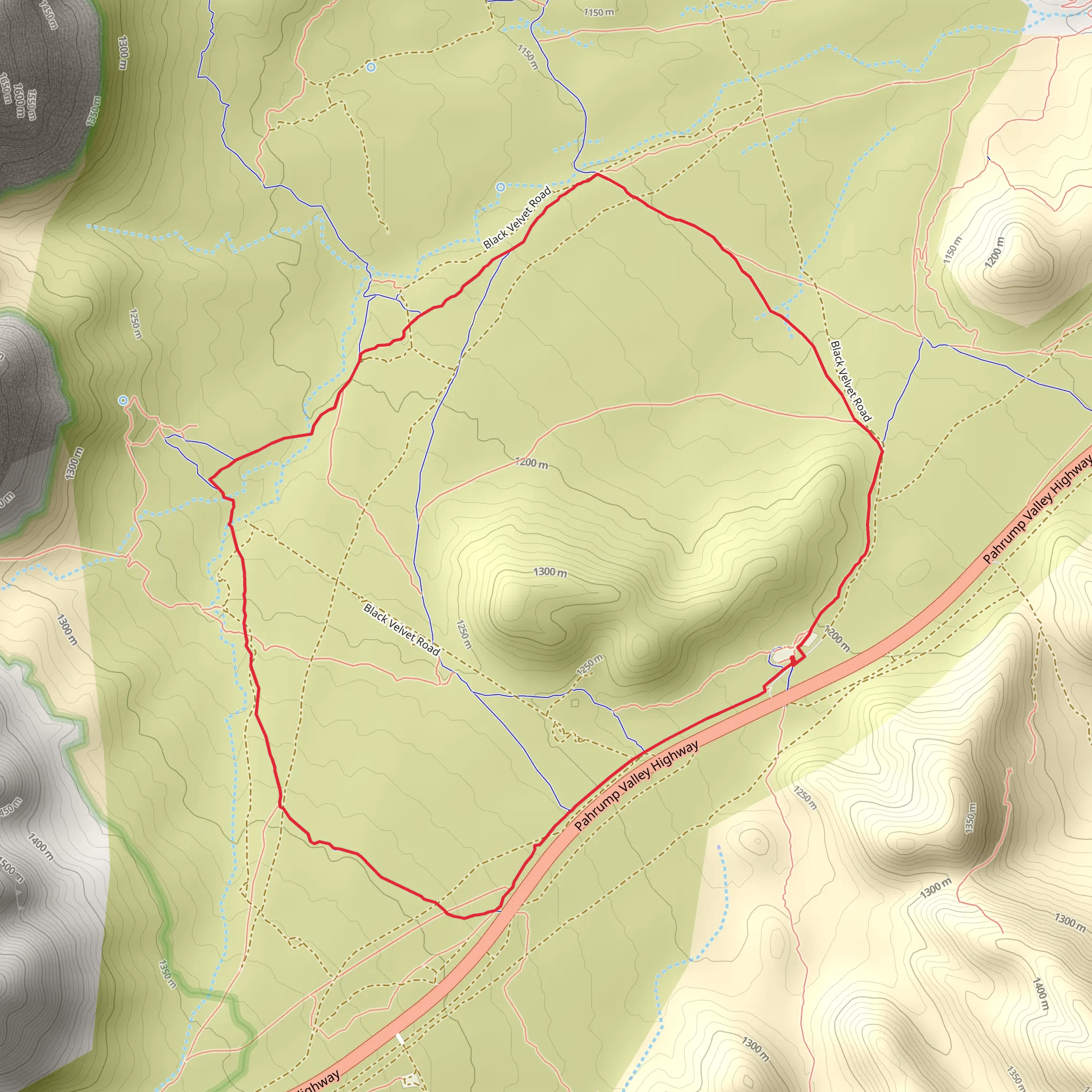 Cottonwood Valley - Beginner and Latenight Loop Trail mobile static map
