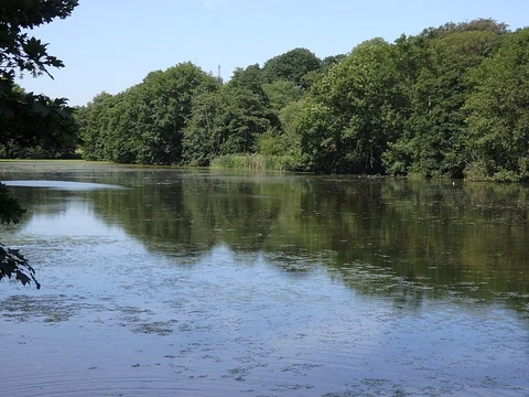 An image depicting the trail Bretton Lakes Nature Reserve and Upper Lake Loop and its surrounding area.