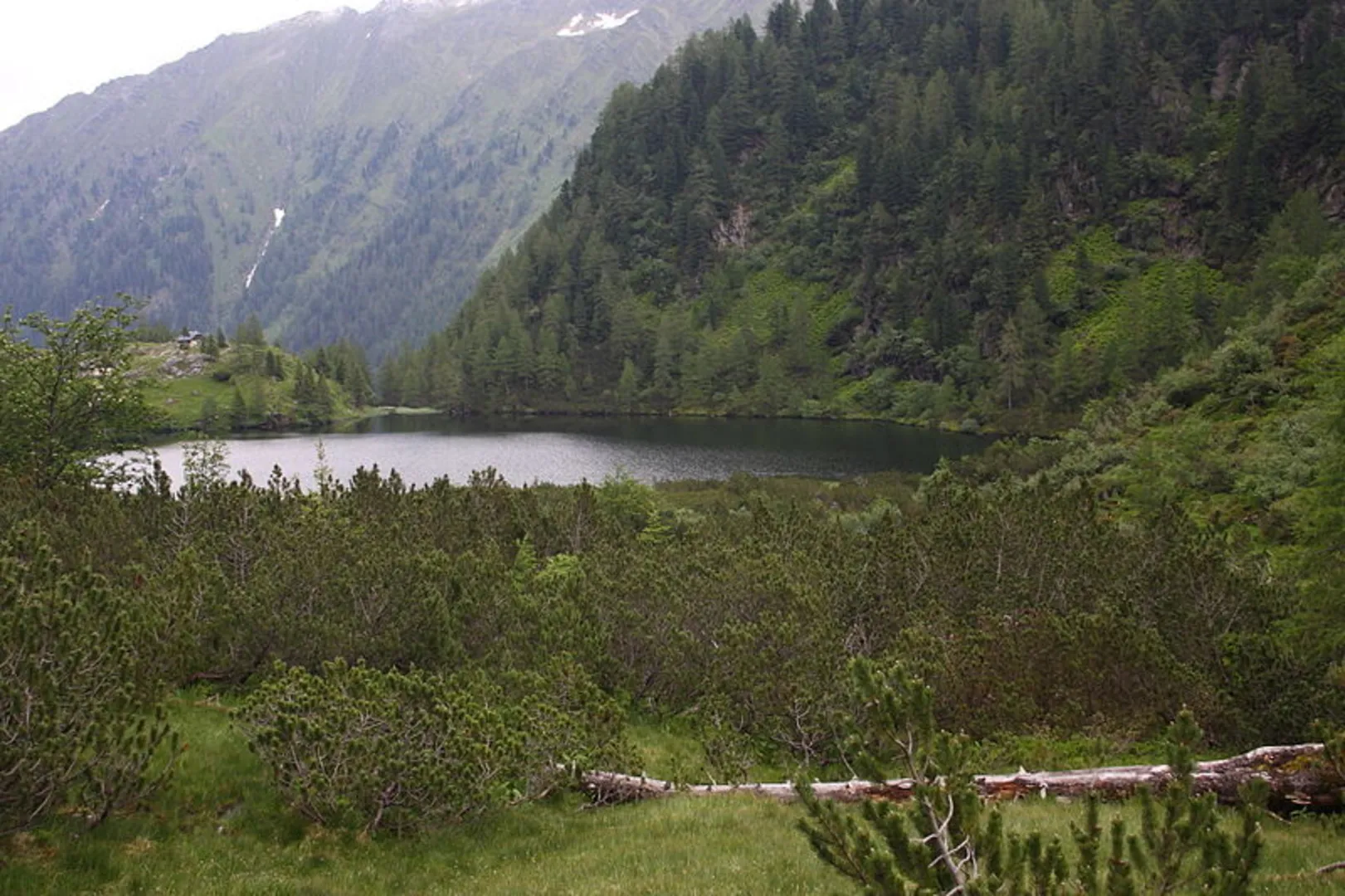An image depicting the trail Bräualm to the Hohensee lake and its surrounding area.