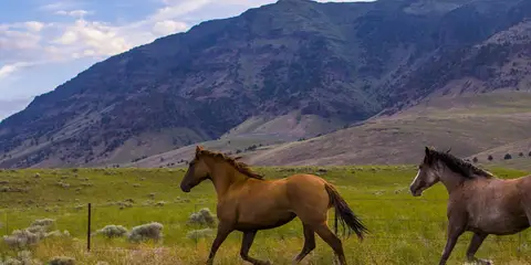 An image depicting the trail Steens Mountain Gorge Loop and its surrounding area.