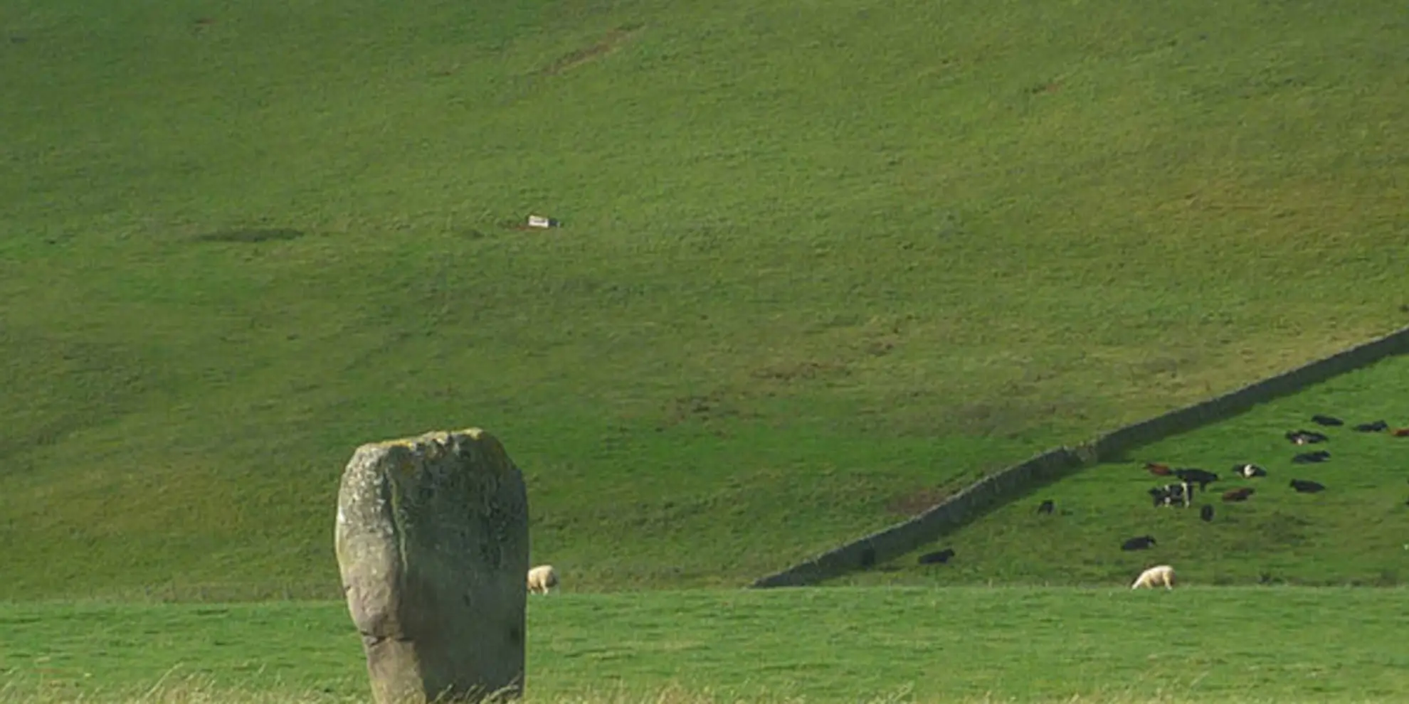 An image depicting the trail Yarrow Valley Five Hills Circular and its surrounding area.
