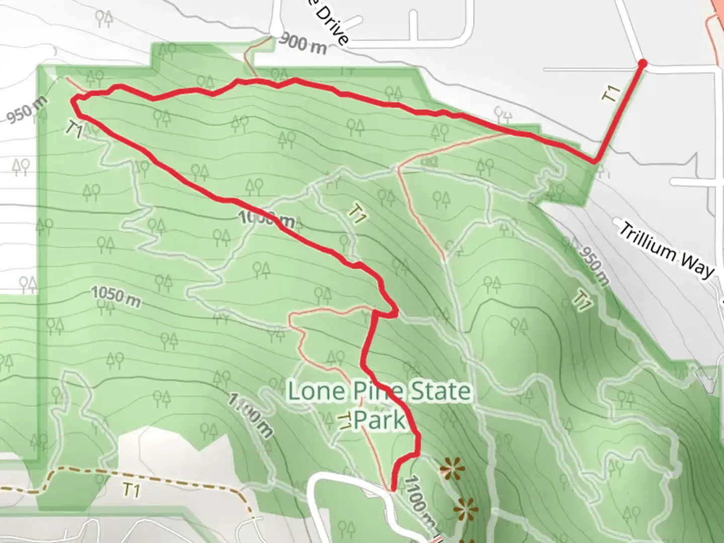 An image depicting the trail Lone Pine Trail and Trail D and its surrounding area.