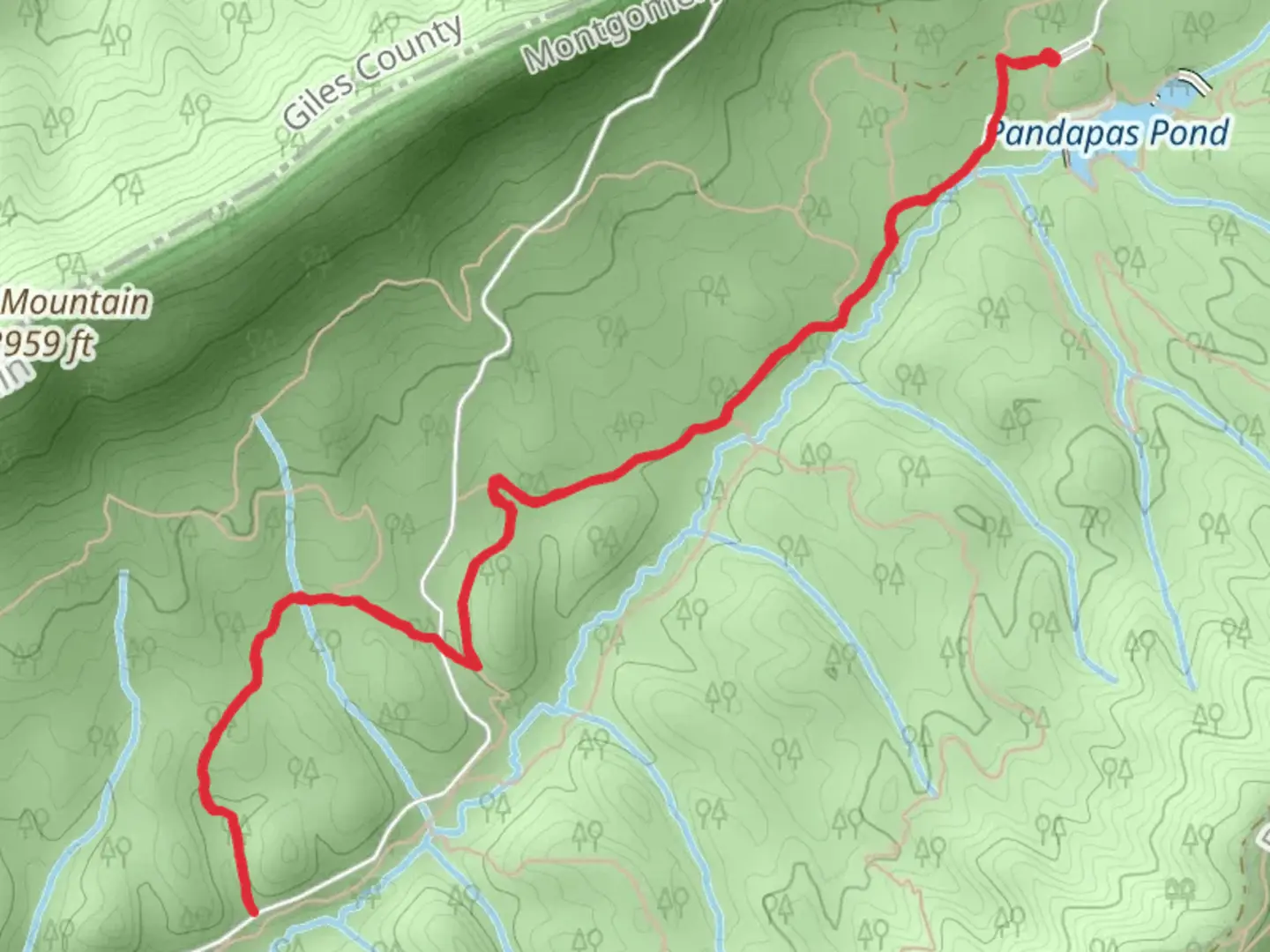 An image depicting the trail Queen Anne Trail via Poverty Creek Trail and its surrounding area.