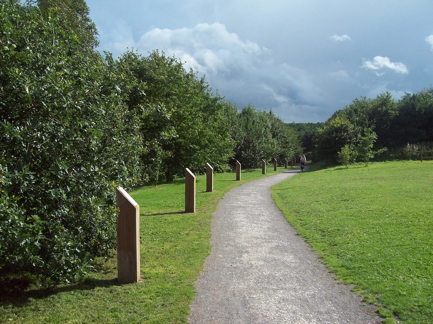 An image depicting the trail Rosliston Forestry Centre Short Loop and its surrounding area.