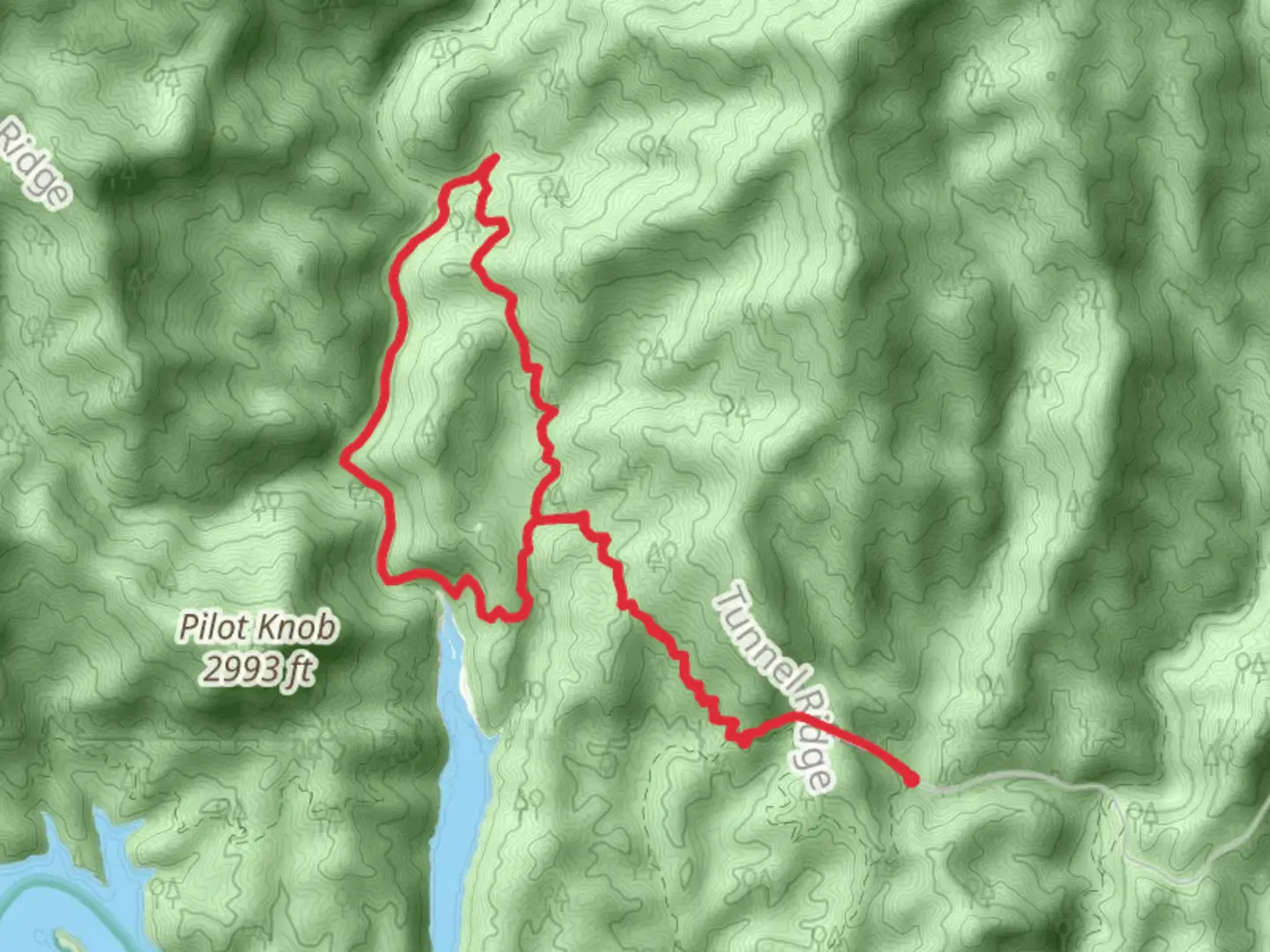 An image depicting the trail Whiteoak Branch Trail and Forney Creek Loop Trail and its surrounding area.