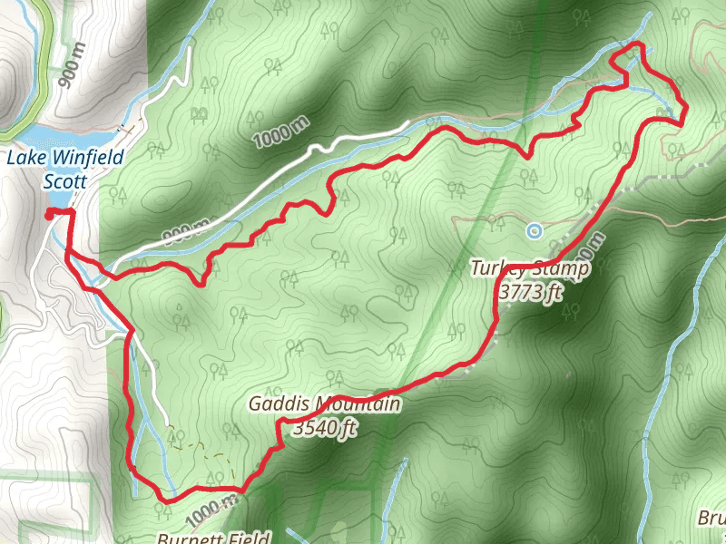Gaddis Mountain and Turkey Stamp - Slaughter Creek Trail