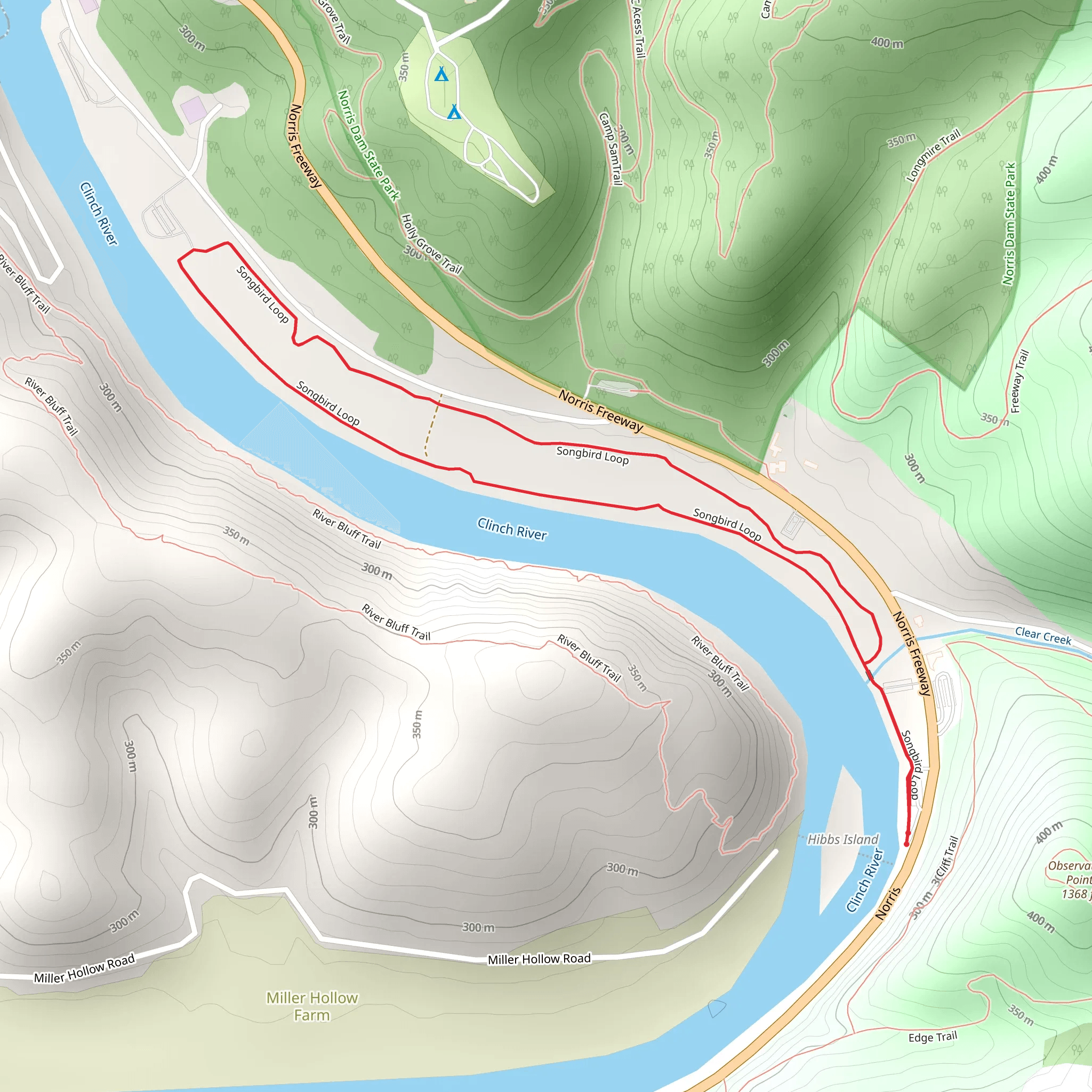 Songbird Loop mobile static map