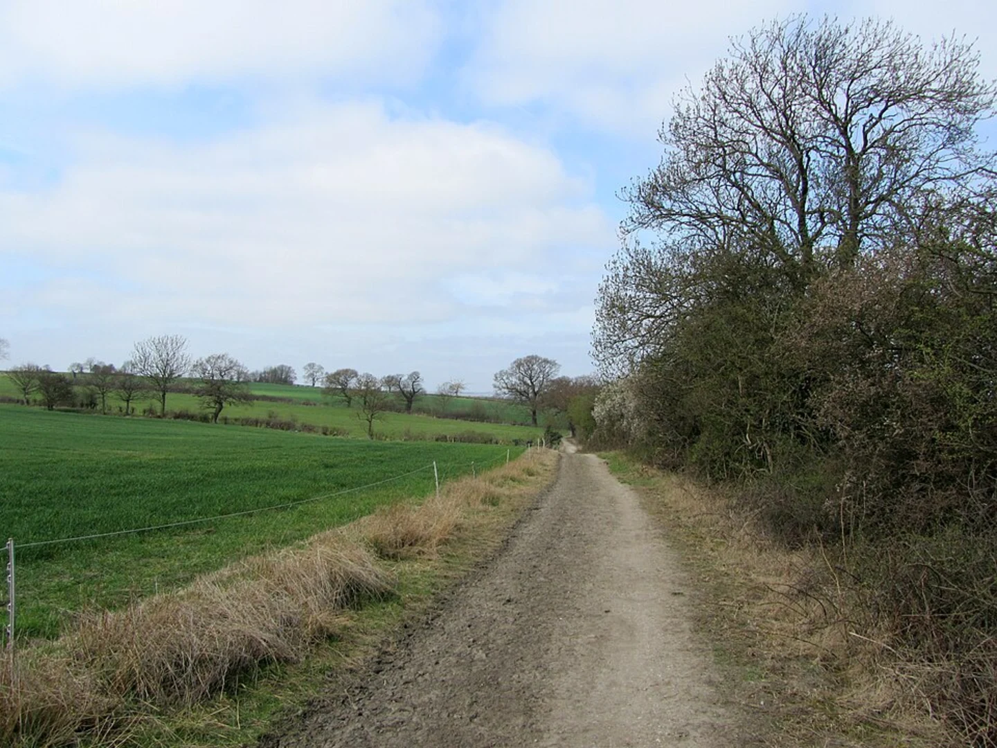 An image depicting the trail Cossall Walk and its surrounding area.