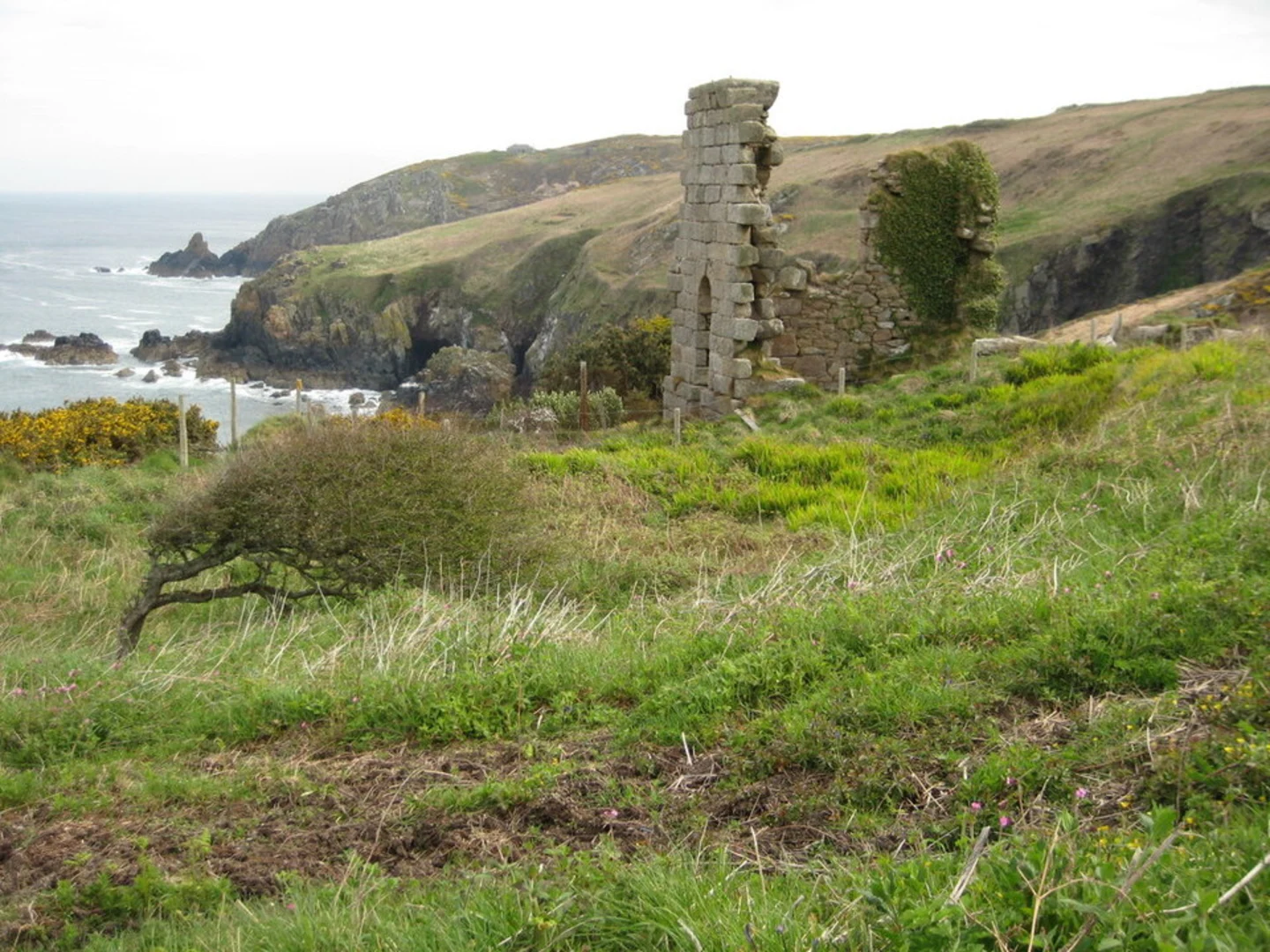 An image depicting the trail Gurnards Head Walk and its surrounding area.