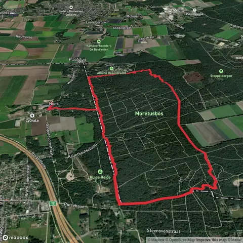 Wandelpad Eekhoorn and Hollandse Dreef Loop