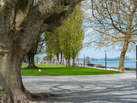 An image depicting the trail Heiden - Rorschach Trail and its surrounding area.
