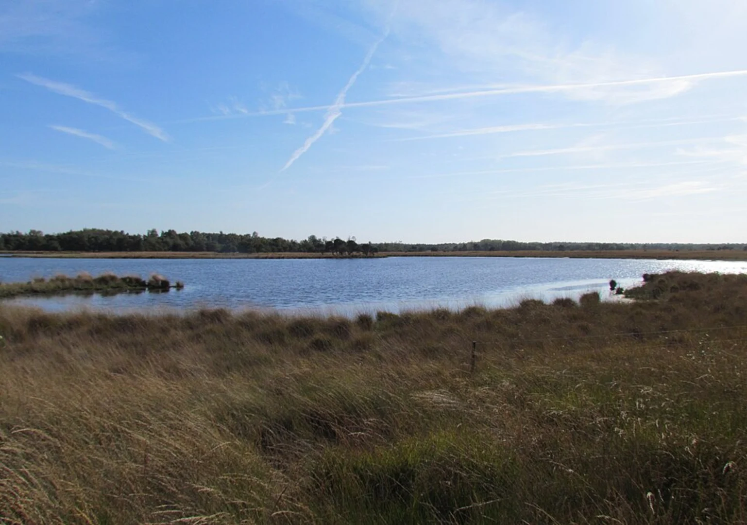 An image depicting the trail Waschven and Kranenmeer and s Heerenven via Vogelspad Loop and its surrounding area.