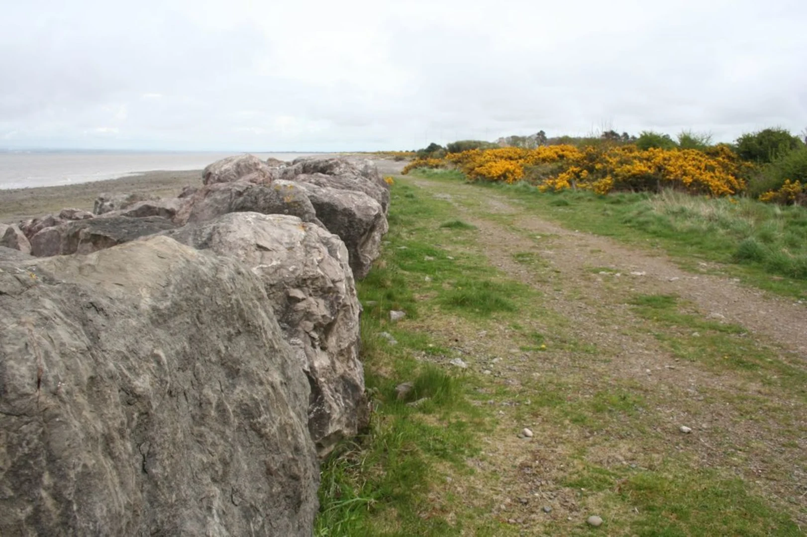 An image depicting the trail Grune Point and Mean High Water and its surrounding area.