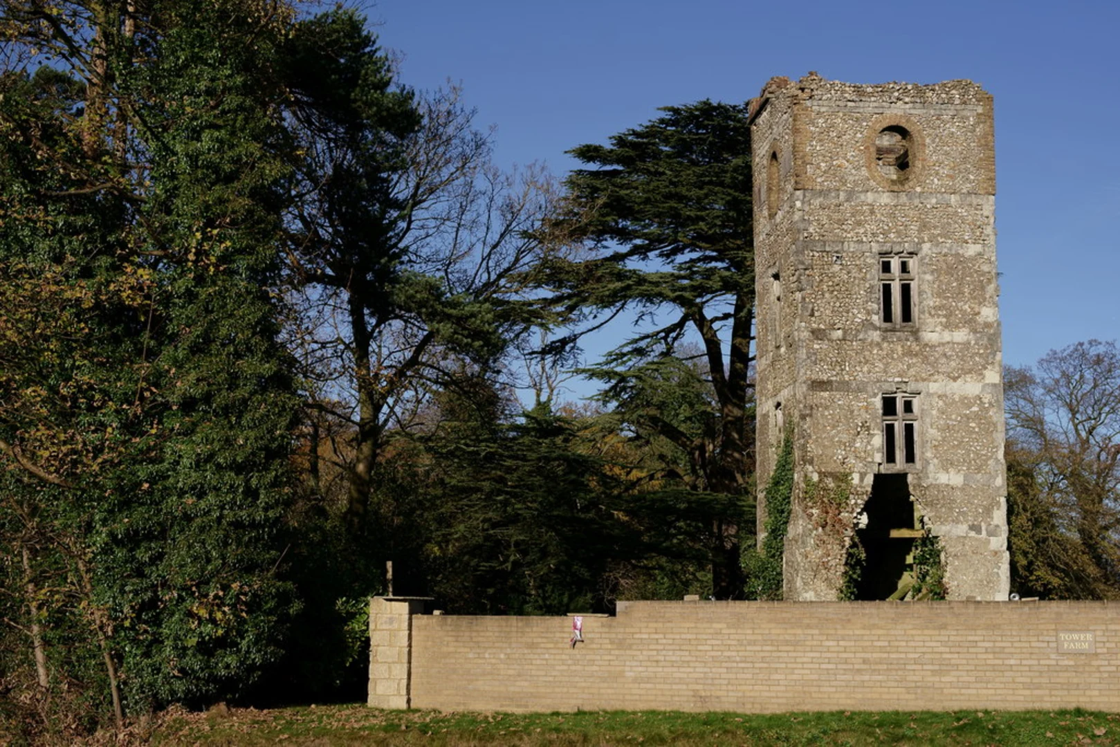 An image depicting the trail Cockshoot Wood and Mickleham Downs Loop and its surrounding area.