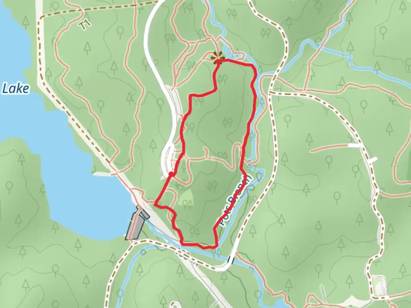 An image depicting the trail Pott's Branch Loop Trail and its surrounding area.