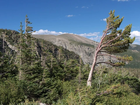An image depicting the trail Buchanan Pass Trail and its surrounding area.