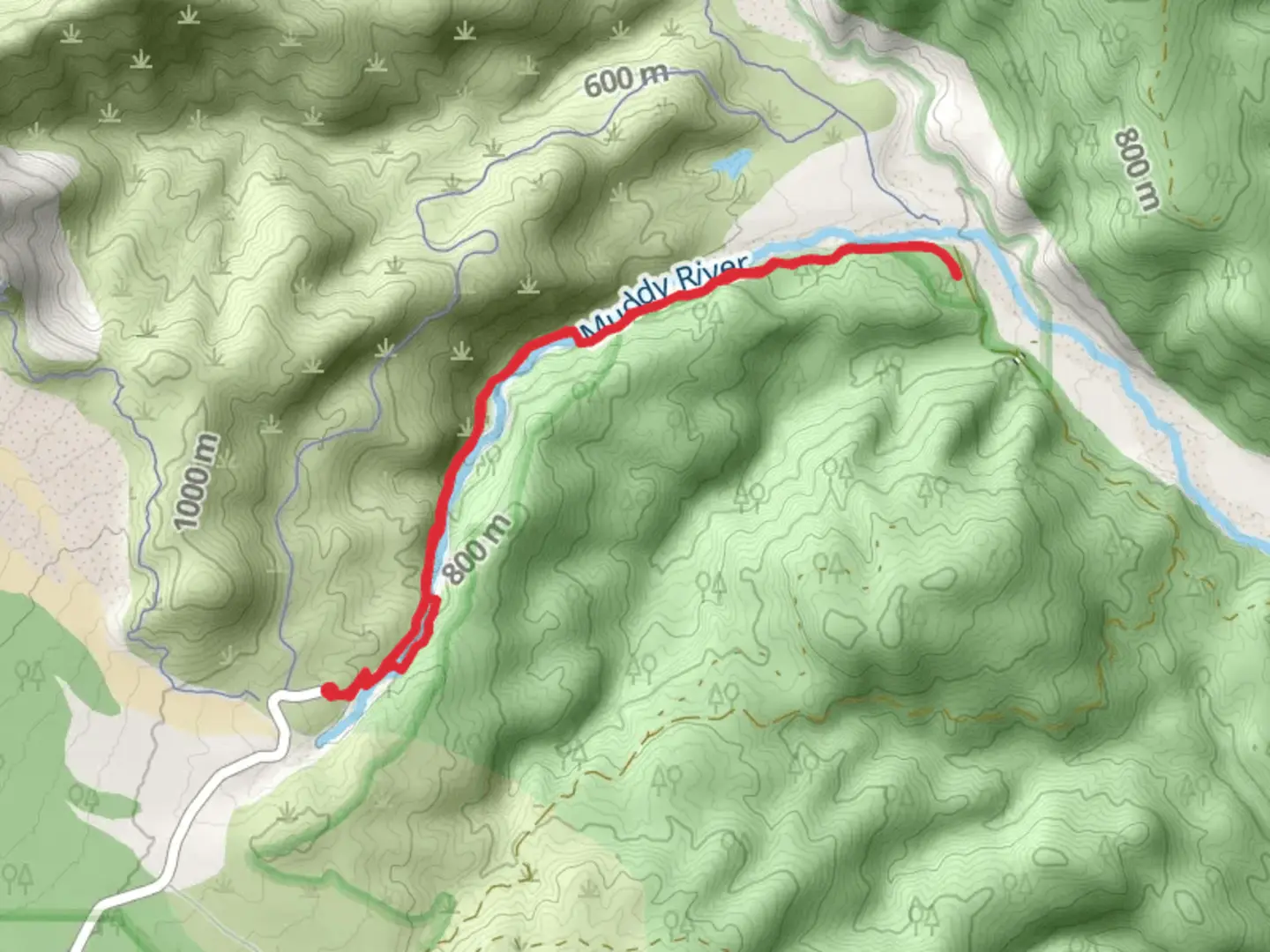 An image depicting the trail Lava Canyon Trail and Muddy River and its surrounding area.