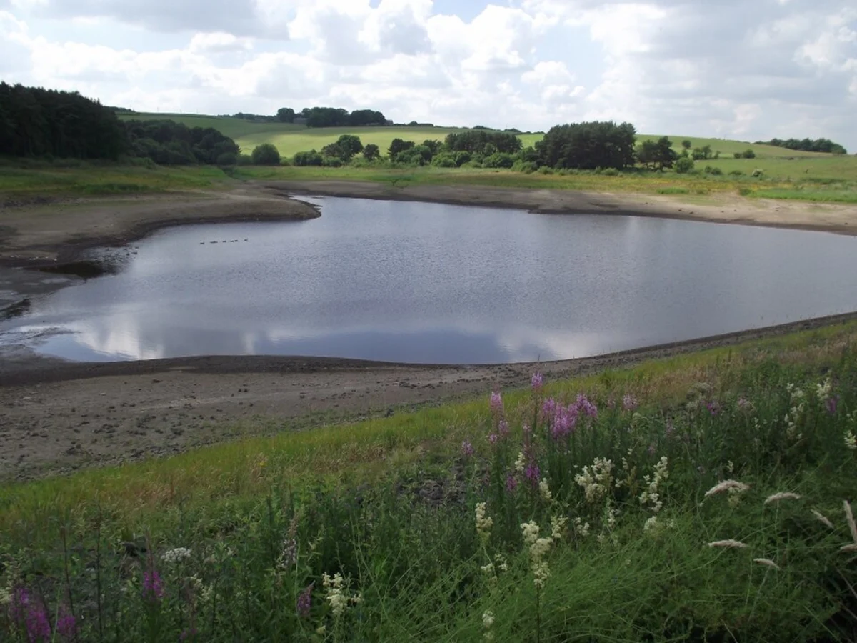 Earnsdale reservoir and Sunnyhurst Wood Loop