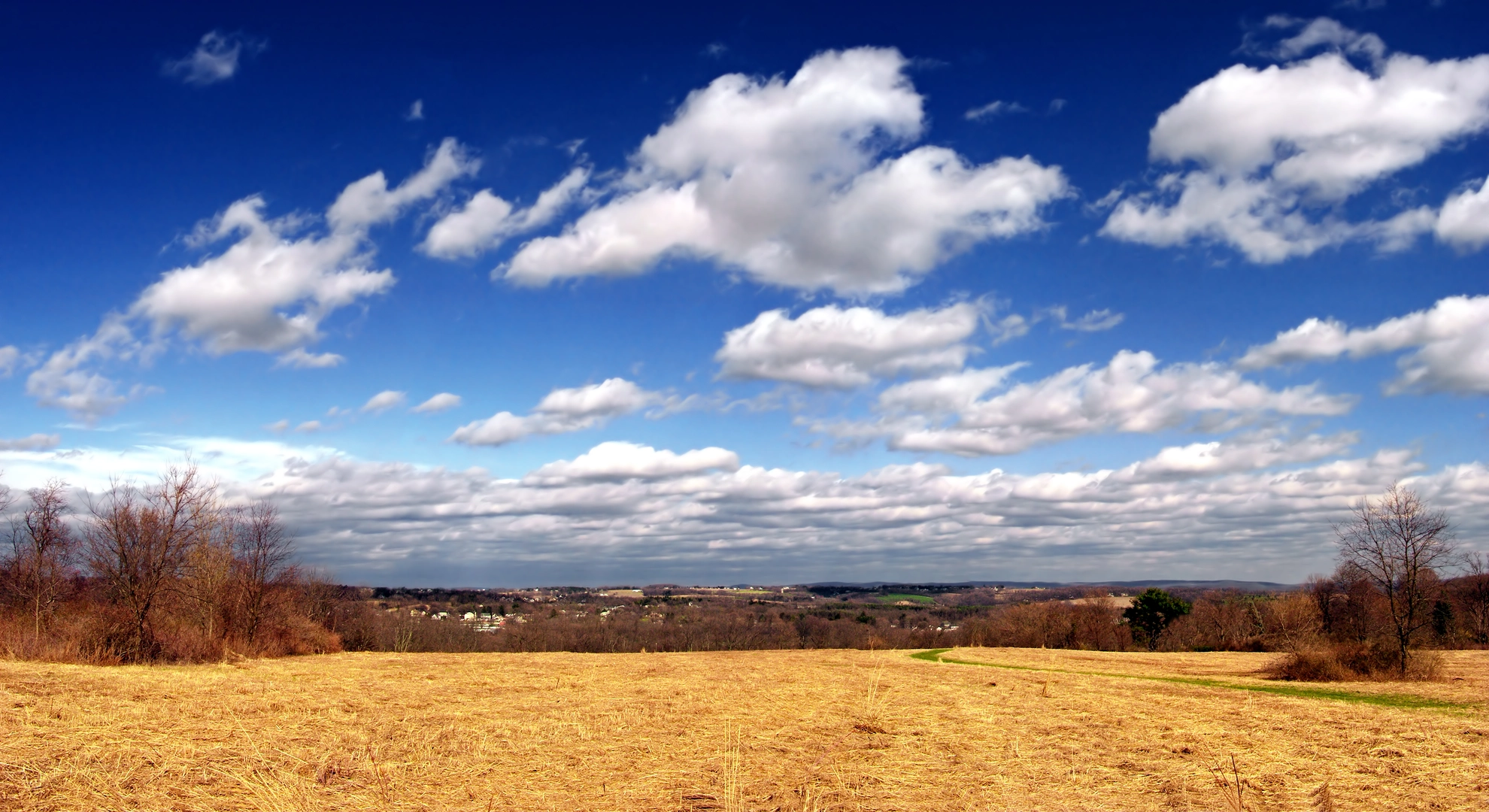 An image depicting the trail Bushkill Creek - Henry's Woods Trail and its surrounding area.