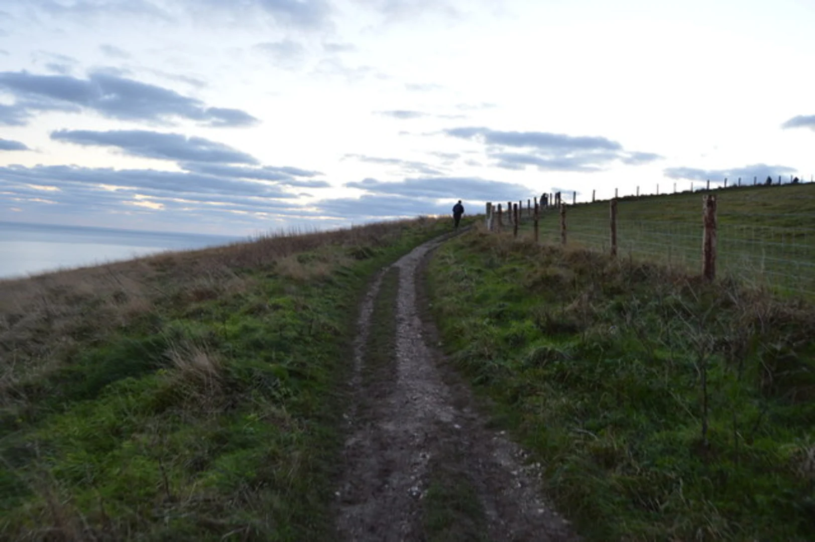 An image depicting the trail Oak Harry Rocks Viewpoint, Studland Hill via Purbeck Way and its surrounding area.