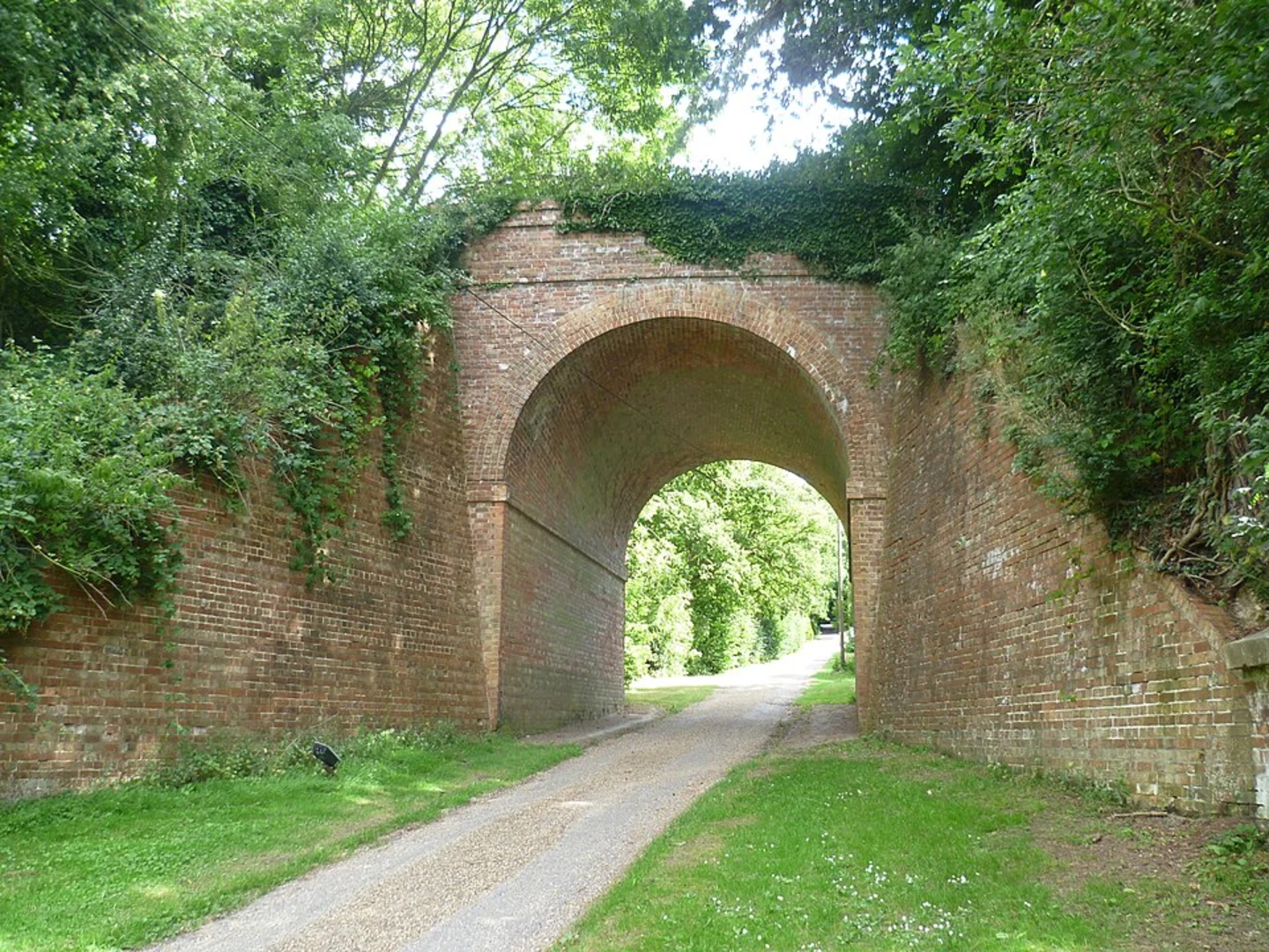 An image depicting the trail Paddock Wood Loop and its surrounding area.