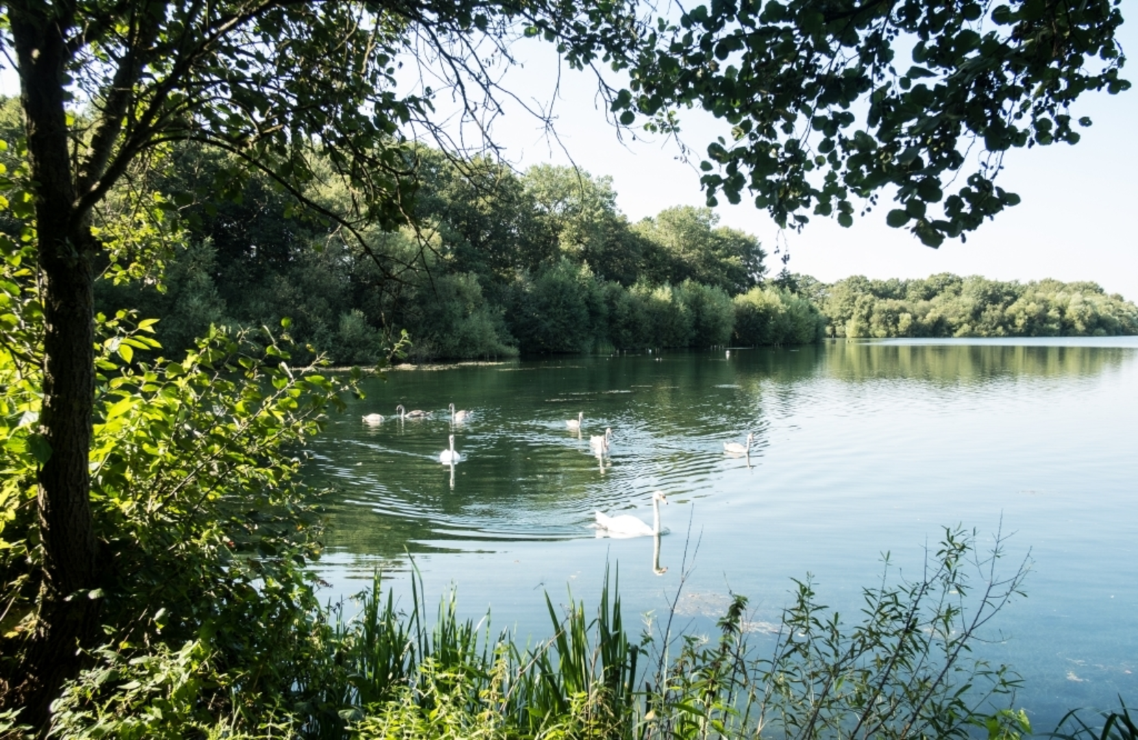 An image depicting the trail Stanmore Common and its surrounding area.