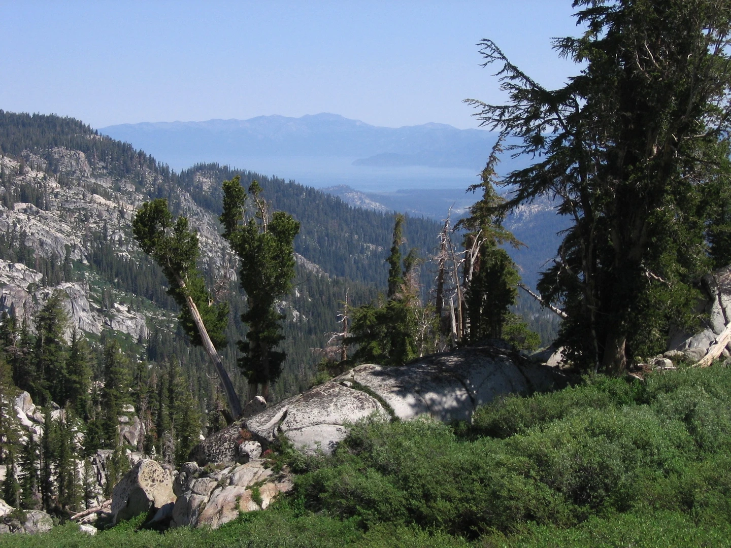 An image depicting the trail Showers Lake via Tahoe Rim Trail and its surrounding area.