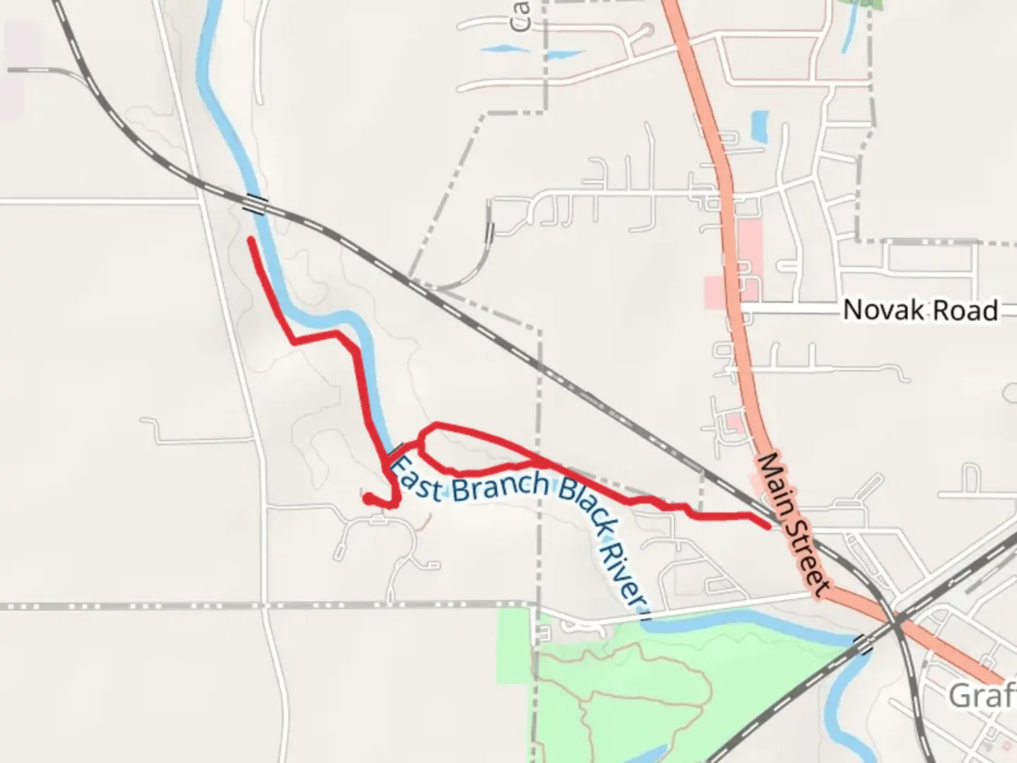 An image depicting the trail East Branch Black River Loop and its surrounding area.