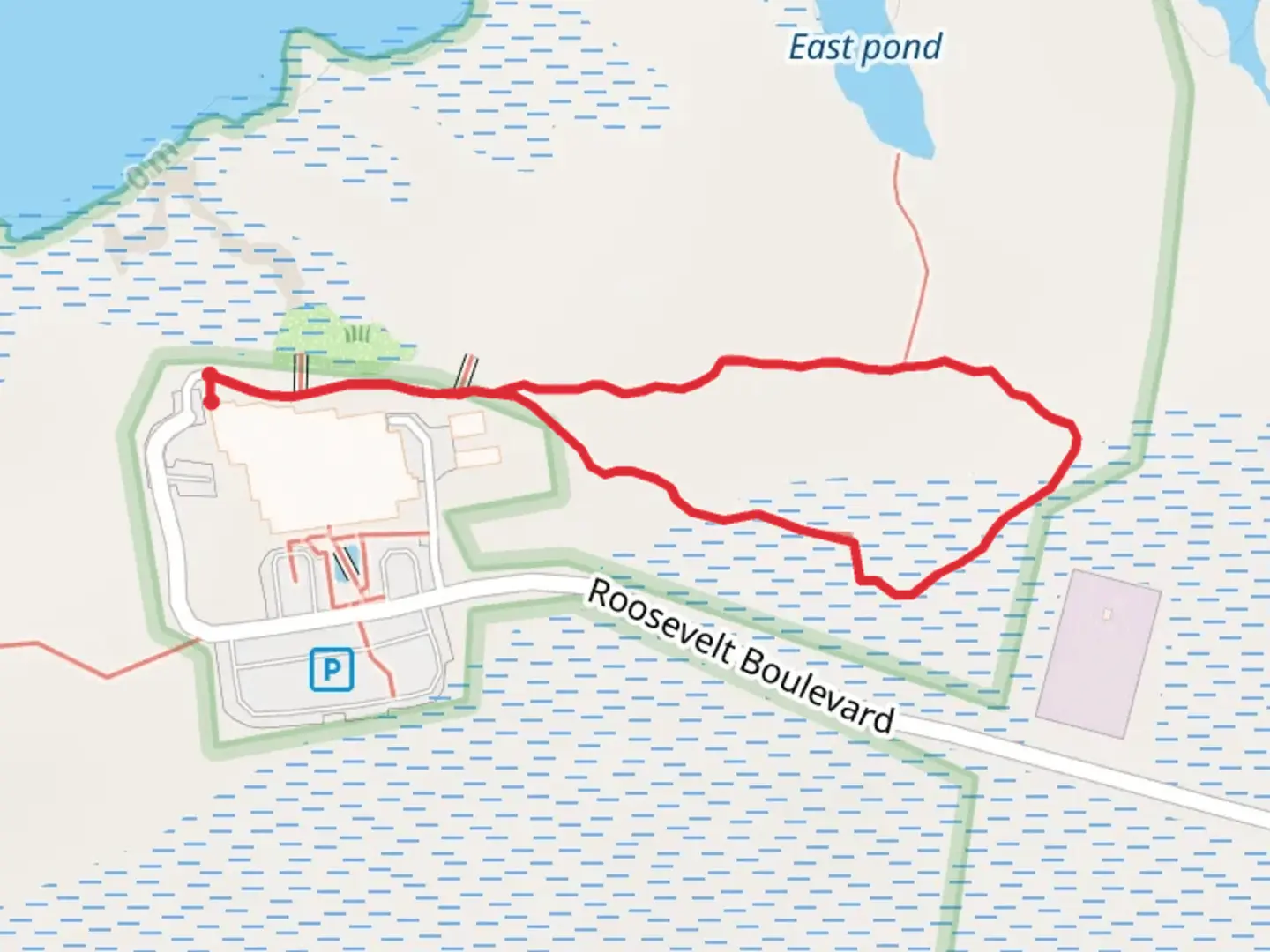 An image depicting the trail Alice G Hoffman Nature Loop Trail and its surrounding area.