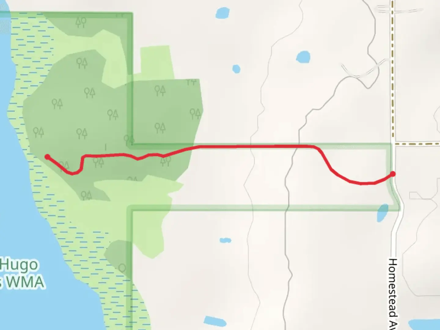 An image depicting the trail Walk to Rice Lake and its surrounding area.