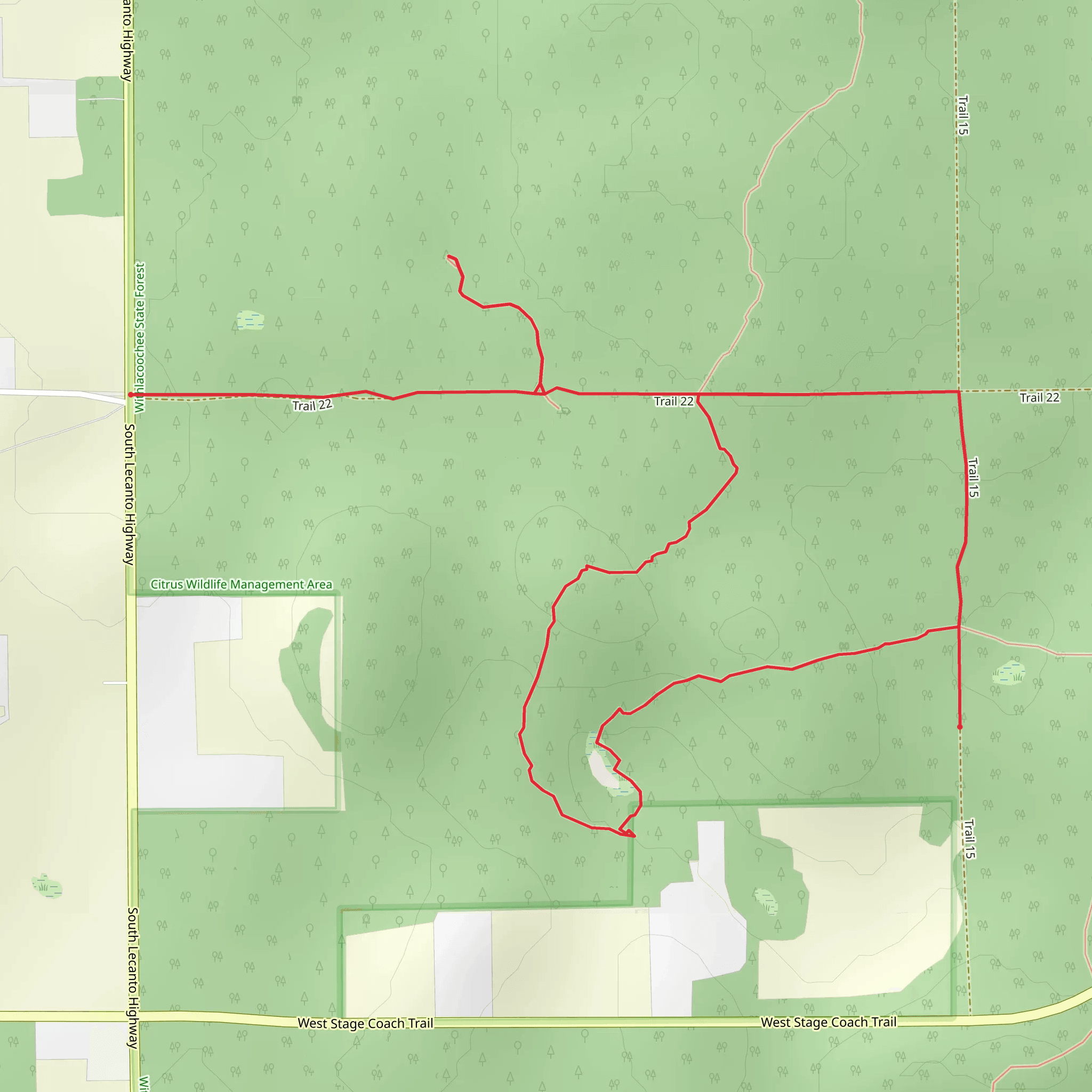 Lizzie Hart Sink Loop via Withlacoochee State Forest Trail mobile static map