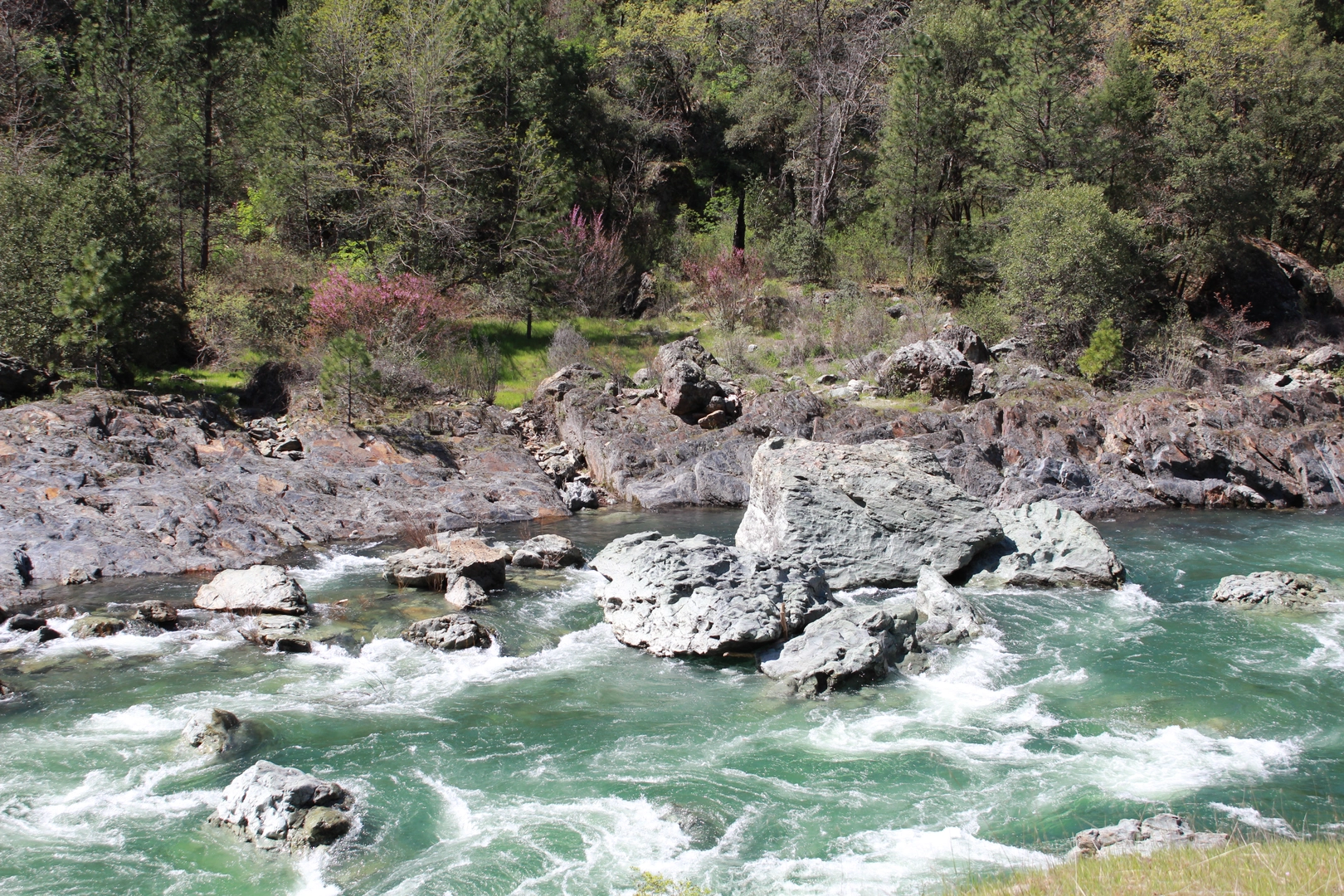 An image depicting the trail American River Trail and its surrounding area.