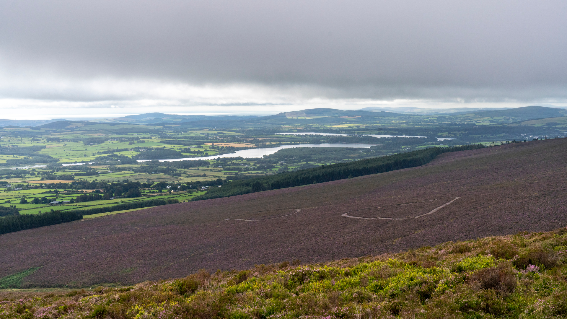 An image depicting the trail Roundwood Reservoir Woodpecker Trail and its surrounding area.