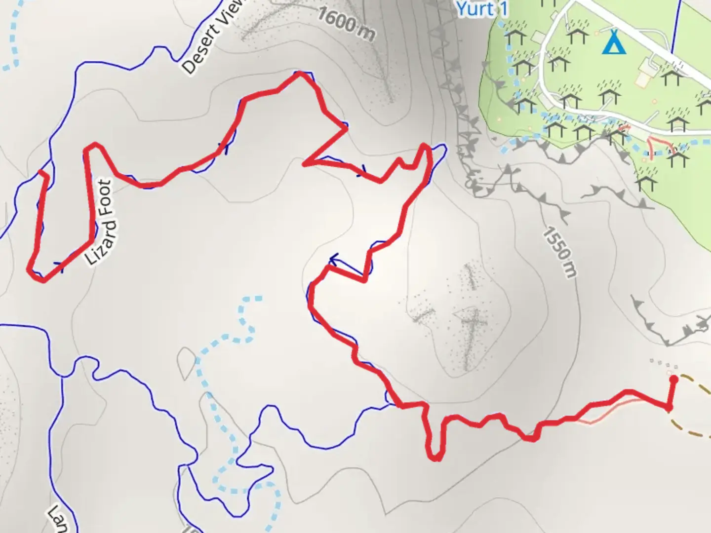 An image depicting the trail Lizard Foot and its surrounding area.