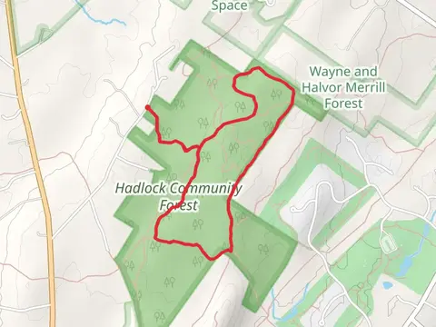 Cross Falmouth Trail and Hobbs Brook Trail Loop