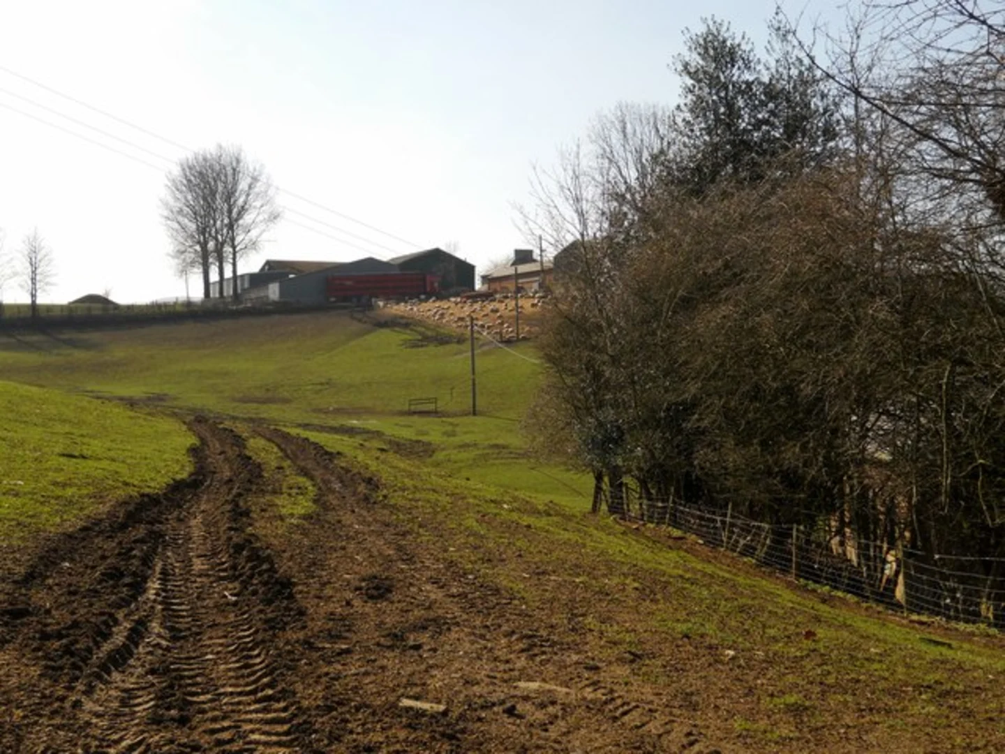 An image depicting the trail Catesby Country Park via Jurassic Way and its surrounding area.