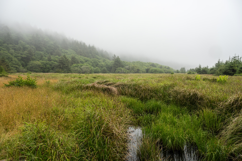 An image depicting the trail Ossagon Trail and its surrounding area.