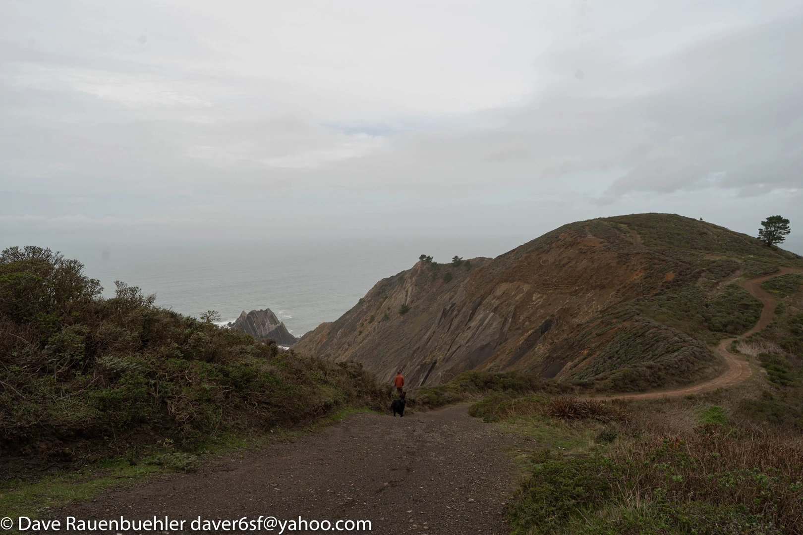 An image depicting the trail Devil’s Slide Trail and its surrounding area.