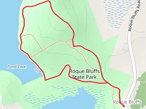 Roque Bluffs State Park Loop
