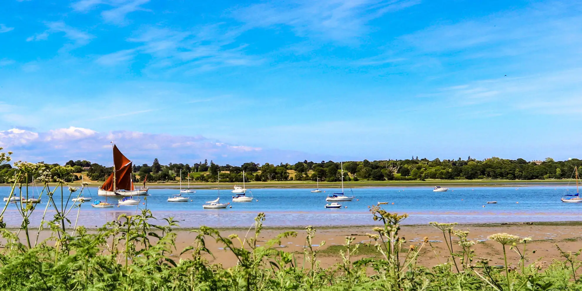 An image depicting the trail Pin Mill to Shotley Gate and its surrounding area.