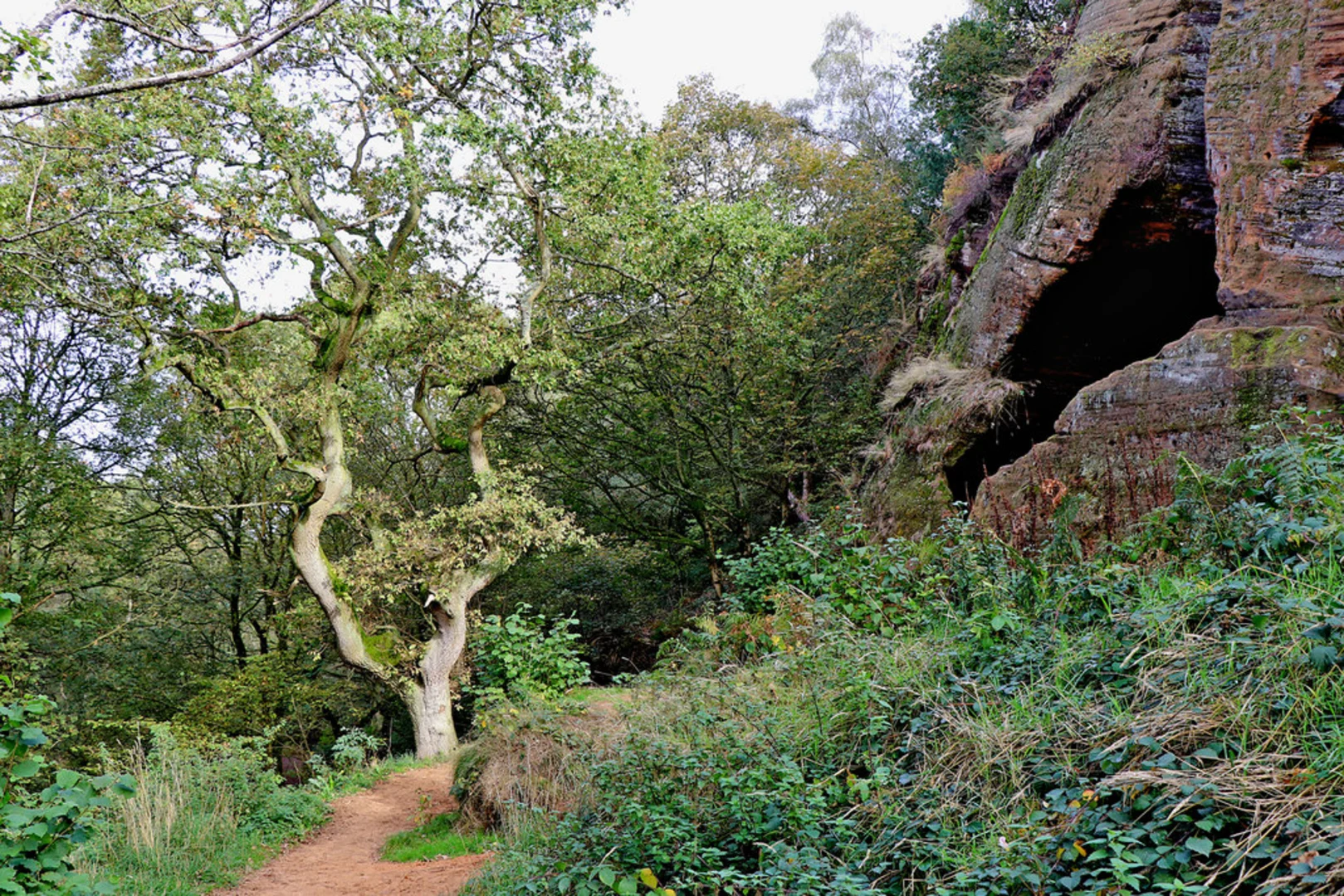 An image depicting the trail Kinver Edge and Kingsford Forest Park Loop and its surrounding area.